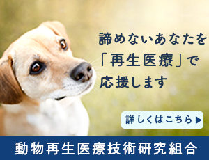 動物再生医療技術研究組合